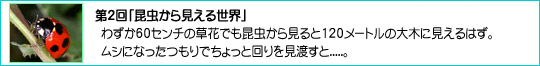 2u猩鐢Ev
