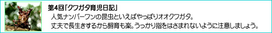 4uNK^玙Lv