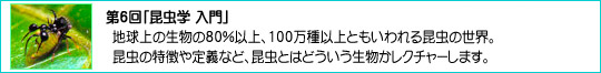 6uwv