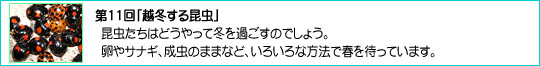 11uz~鍩v
