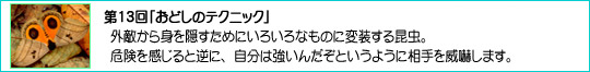 13uǂ̃eNjbNv