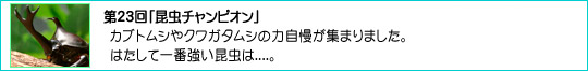 23u`sIv