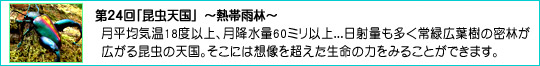24uVv`MщJс`