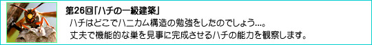 26un`̈ꋉzv