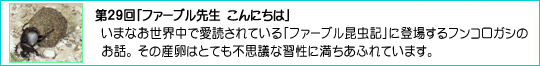 29ut@[u搶ɂ́v