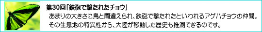 30uSCŌꂽ`Ev