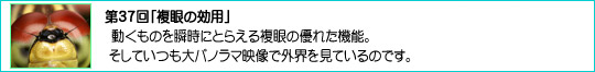 37ǔpv