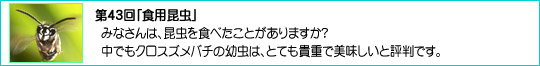 43uHpv