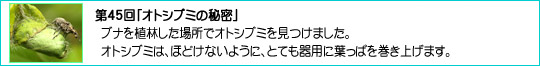 45uIgVu~̔閧v