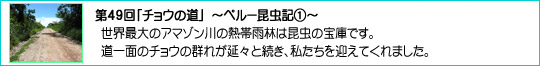49u`E̓v`y[LP