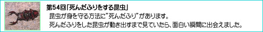 54u񂾂ӂ鍩v