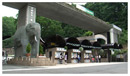 多摩動物公園